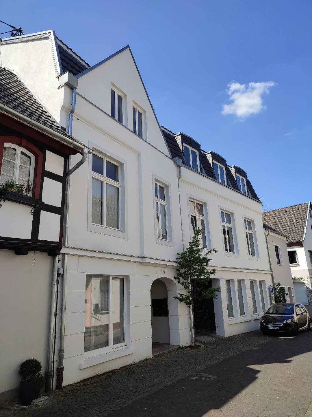 Erpel am Rhein
